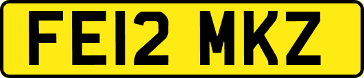 FE12MKZ