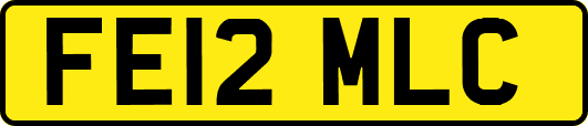 FE12MLC
