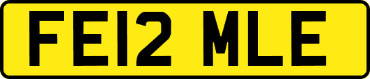 FE12MLE