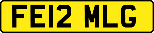 FE12MLG