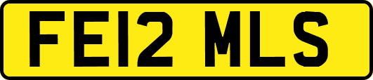 FE12MLS