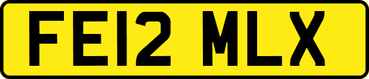 FE12MLX