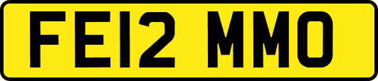 FE12MMO
