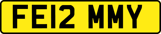 FE12MMY