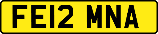 FE12MNA