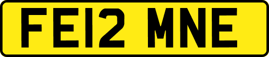 FE12MNE