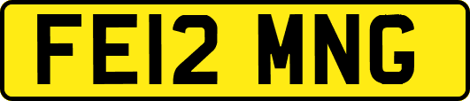 FE12MNG