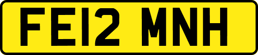 FE12MNH