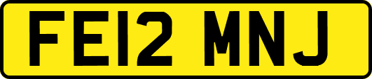 FE12MNJ