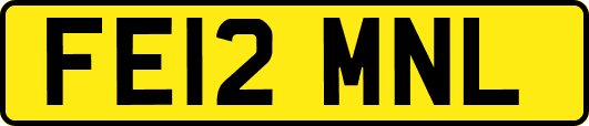 FE12MNL