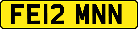 FE12MNN