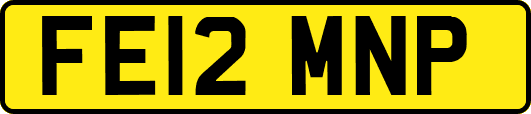 FE12MNP