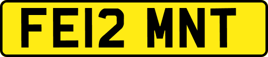 FE12MNT