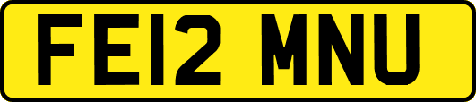 FE12MNU