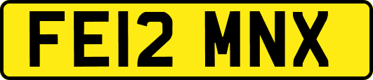 FE12MNX