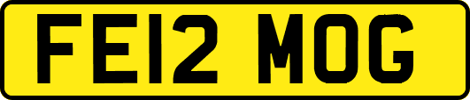 FE12MOG