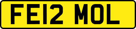 FE12MOL