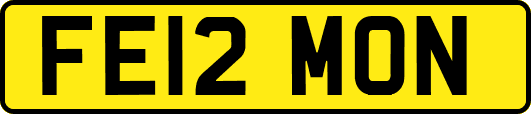 FE12MON