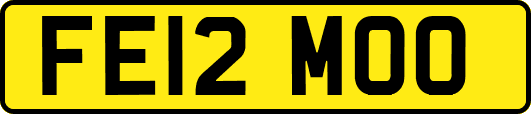 FE12MOO