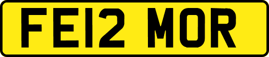 FE12MOR