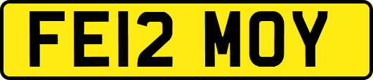 FE12MOY