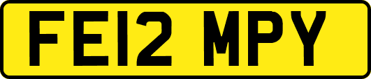 FE12MPY