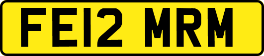 FE12MRM