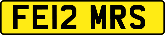 FE12MRS