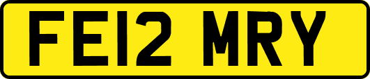 FE12MRY