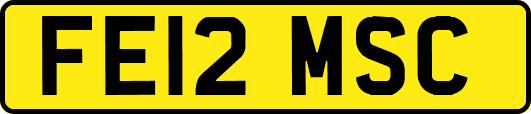 FE12MSC