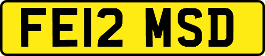 FE12MSD