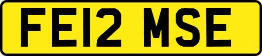 FE12MSE