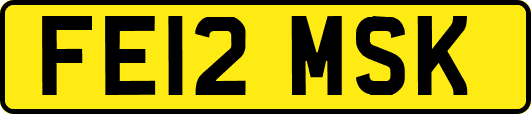 FE12MSK