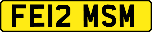 FE12MSM