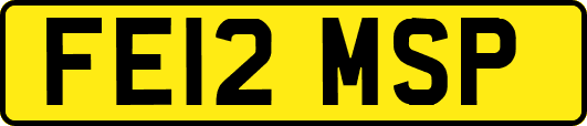 FE12MSP