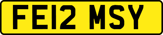 FE12MSY