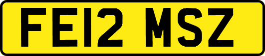 FE12MSZ