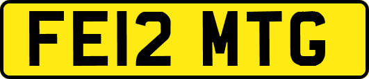 FE12MTG