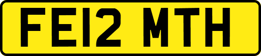FE12MTH