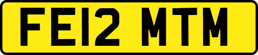 FE12MTM