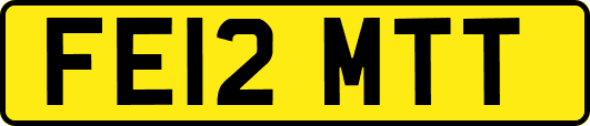 FE12MTT