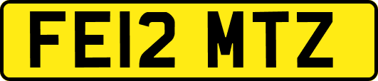 FE12MTZ
