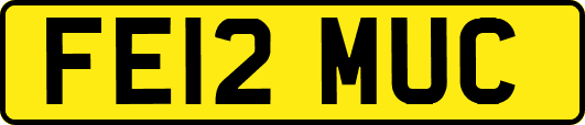 FE12MUC