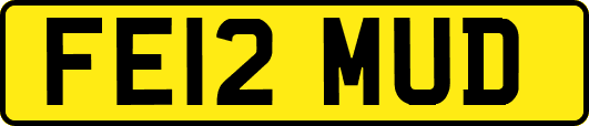 FE12MUD