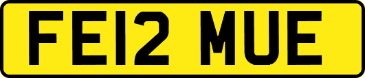 FE12MUE