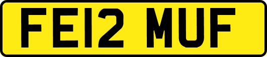 FE12MUF
