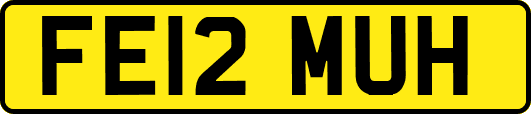 FE12MUH