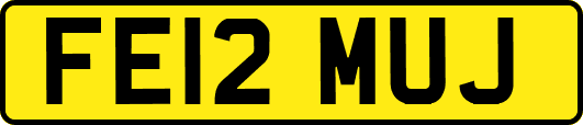 FE12MUJ