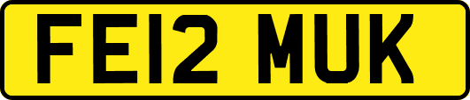 FE12MUK