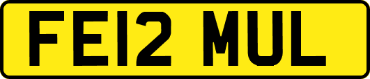 FE12MUL